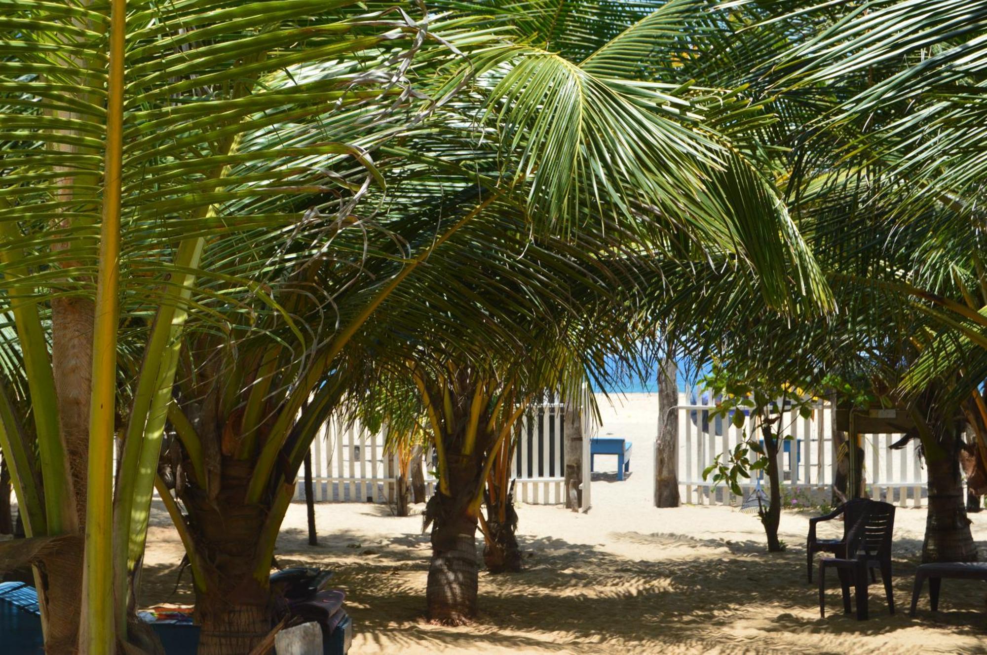 Shim Beach Resort Arugam Bay Exterior photo